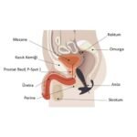 prostat-uyarici-titresimli-anal-vibrator