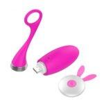 Sprouting-Rabbit-Shake-Wireless-Egg