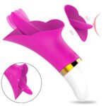 dilli-vibrator-1071-1